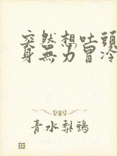 突然想吐头晕全身无力冒冷汗