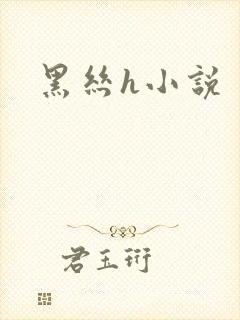 黑丝h小说