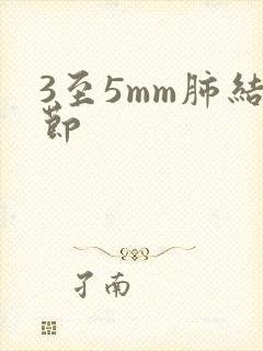 3至5mm肺结节封面