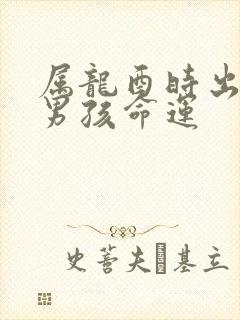 属龙酉时出生的男孩命运