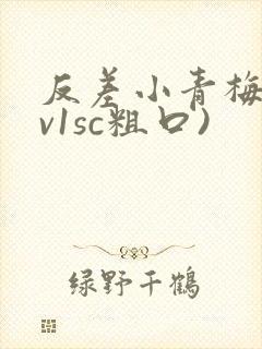 反差小青梅(1v1sc粗口)