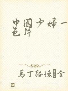 中国少妇一级黄色片