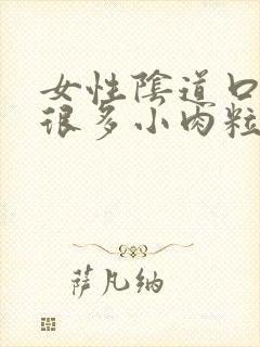 女性阴道口起了很多小肉粒