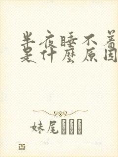 半夜睡不着失眠是什么原因