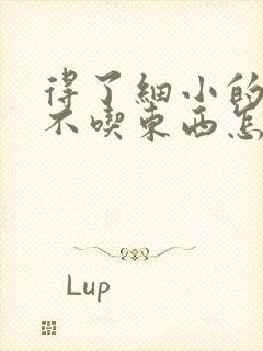 得了细小的狗狗不吃东西怎么办