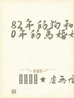 82年的狗和90年的马婚姻相配吗