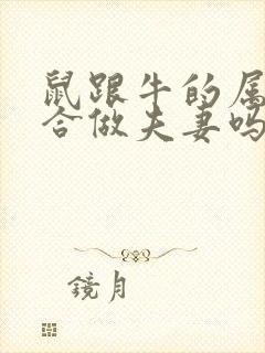 鼠跟牛的属相适合做夫妻吗