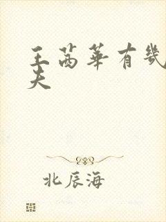 王茜华有几任丈夫