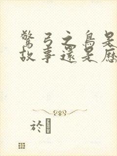 惊弓之鸟是寓言故事还是历史故事