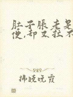 肚子胀老是想大便,却又拉不出来