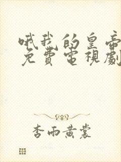 哦我的皇帝陛下免费电视剧