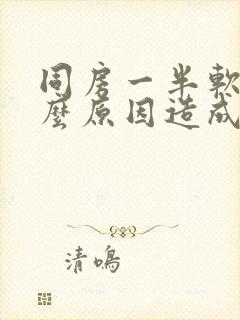 同房一半软了什么原因造成的呢