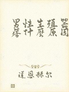 男性生殖器小疙瘩什么原因