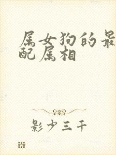 属女狗的最佳婚配属相封面