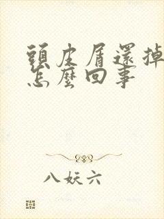 头皮屑还掉头发怎么回事