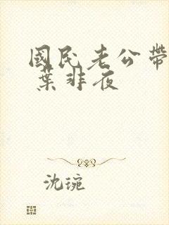 国民老公带回家 叶非夜