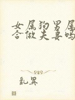 女属狗男属羊适合做夫妻吗