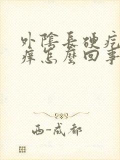 外阴长硬疙瘩瘙痒怎么回事