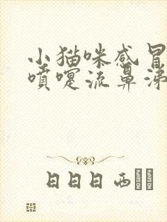 小猫咪感冒了打喷嚏流鼻涕怎么办