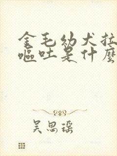 金毛幼犬拉肚子呕吐是什么原因