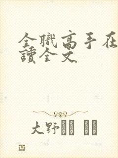 全职高手在线阅读全文