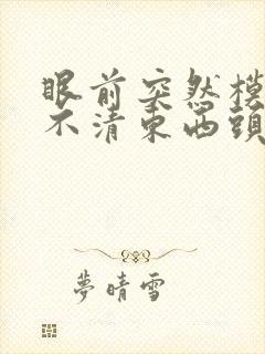 眼前突然模糊看不清东西头晕