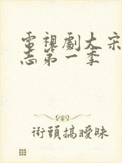 电视剧大宋少年志第一季封面