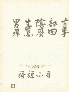 男生阴部有红点痒怎么回事