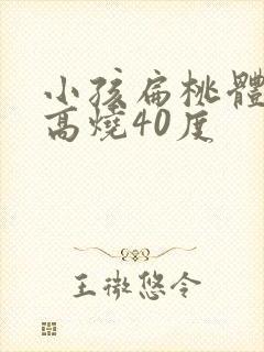 小孩扁桃体发炎高烧40度封面