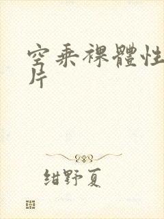 空乘裸体性服务片封面