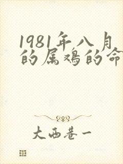 1981年八月的属鸡的命运