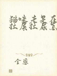 猫咪老是在床上拉屎拉尿怎么办