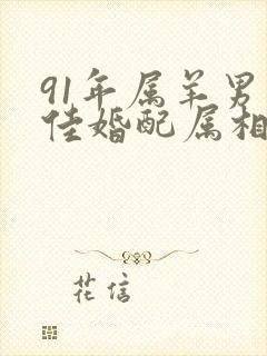 91年属羊男最佳婚配属相