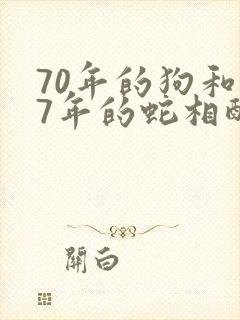 70年的狗和77年的蛇相配吗