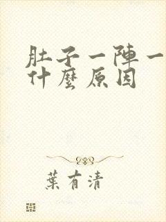 肚子一阵一阵痛什么原因