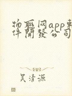 物联网app软件开发公司