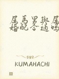 属马男与属牛女婚配合适吗