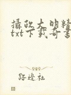 摄政大明精校版txt下载奇书