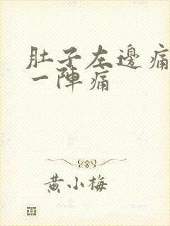 肚子左边痛一阵一阵痛封面