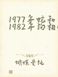 1977年蛇和1982年狗相配吗