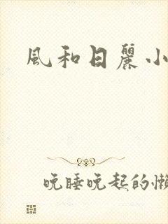 风和日丽小说