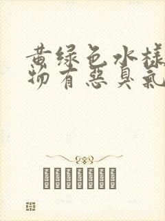 黄绿色水样分泌物有恶臭气味