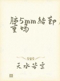 肺5mm结节严重吗