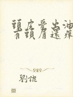 头皮爱出油面且有头屑还痒