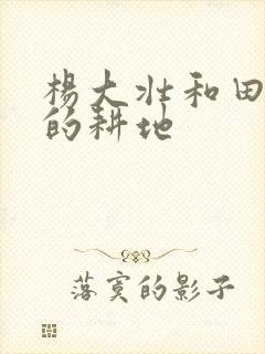 杨大壮和田桂花的耕地