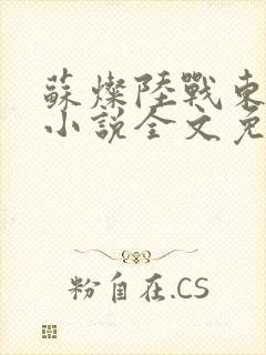 苏灿陆战东穿越小说全文免费阅读封面