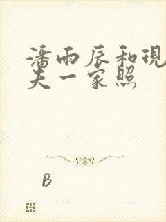 潘雨辰和现任丈夫一家照