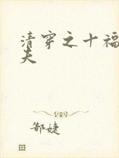 清穿之十福晋宠夫