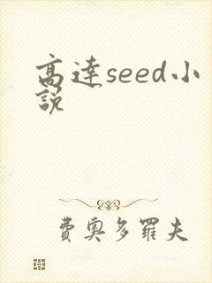 高达seed小说封面