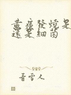 黄痰发烧是病毒还是细菌